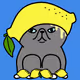 shoppi