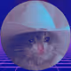 05421224