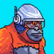 bulldog__