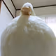 biggamegoose