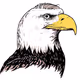 BaldingEagleMN