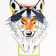 moto_trades