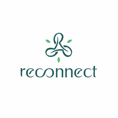 OpenSea profile picture for @reconnect