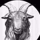 ultimategoat