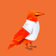 Never_S