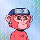 Zolla0x