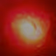 Unnamed1337