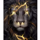 Lukas_Lion1
