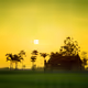 0xfe8cf4997ab2b8bb138f1794e9f63efb6a060729
