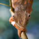 Abstellgleis