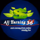 AllEarning36