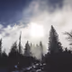 whitbreadsun9