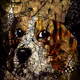 RegalBeagleVault