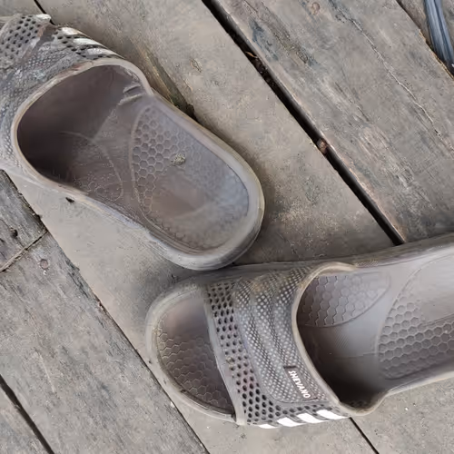 OpenSea profile picture for @Sandals