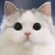 zhaoxy88