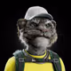 Fexistky