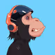 bullzoverbearz