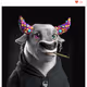 The_NFT_Expert
