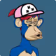 Zenda_2179