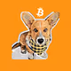 HODLCorgis