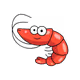 Crypt0_Shrimp
