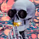 PremiumDistraction
