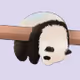 0xviolazhang