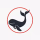 NotWhale98
