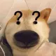 0x5f783d296e1364058d94ddf5a5c6f7b97d26f2f2
