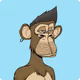 Shwaz_SOL