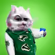 VaultBigCats