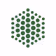 Project_Hive