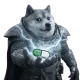 DogeWhale8