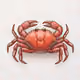 0xCrabfish