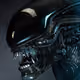 Sulaco8