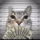 Catsricher