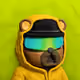 Heizenbear