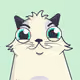 CryptoKittie-Shelter