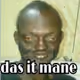 Bricmane