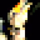 poor_goose