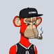 Gnomie_sg