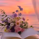 Barakah-