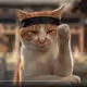 CatFoo