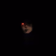 fack_