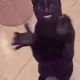 ya_pidor
