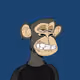 arc_apes_dev