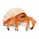 CrabbyCrabNFTs