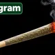 420_High_Society