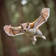 accidentalWallet2a