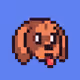 HotDogsWTF
